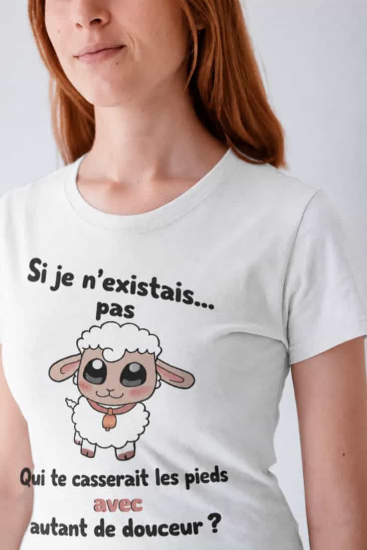 T-shirt humoristique Qui te casse les pieds