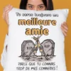 Coussin humoristique Meilleure amie pour conneries avec message drôle pour meilleure amie